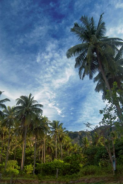 №88, Филипп Бовва, 40 лет, Феодосия №88, Филипп Бовва, 40 лет, Феодосия