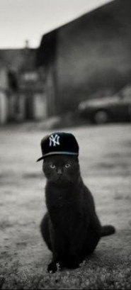 Анатолий Зимоглядов | Москва