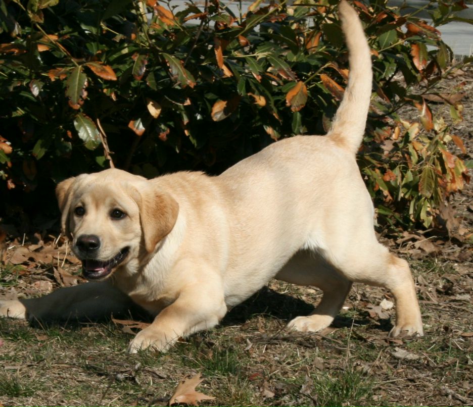 Антон Пономаренко | Севастополь