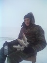 №14 Радиф Сайфиев