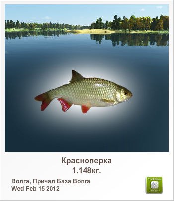 Олег Шик | Симферополь