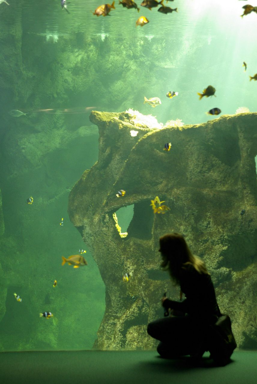 Елена Панова Baralgin Lenin | Москва