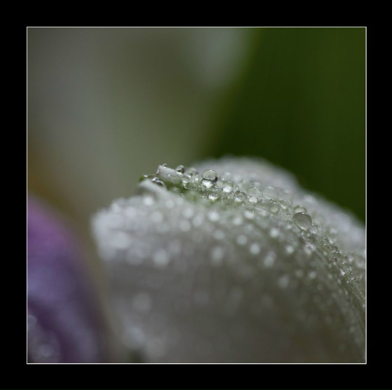 Юлия Михеева | Реутов