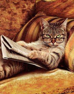 Ольга Петрова | Boston