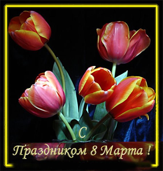 Алексей Чепухин Дмитриевич | Волгоград