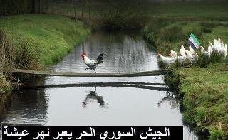 Аммар Али | Санкт-Петербург