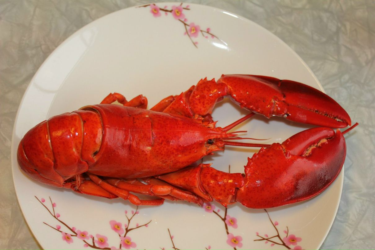 Денис Парецкий | Trondheim