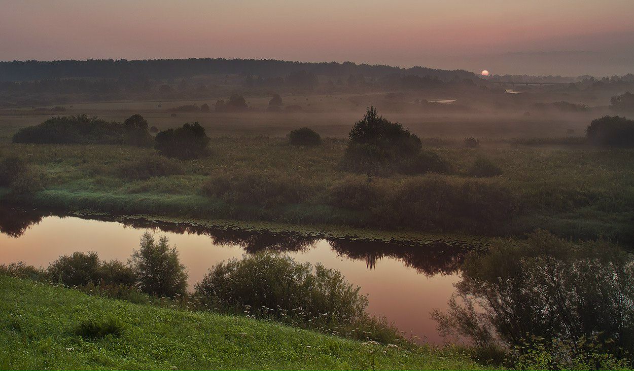 Алина Сикорская | 