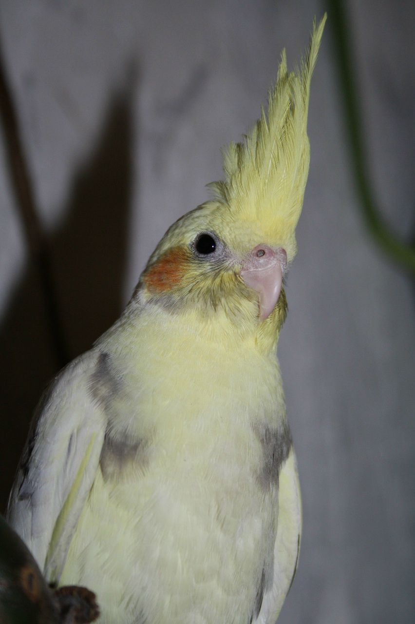 Евгений Шауро | Лида