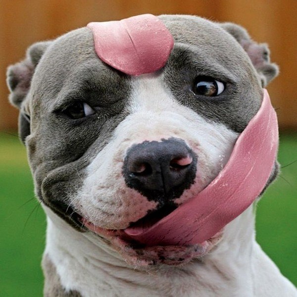 Алексей Языков ★ Sydney ★ | 