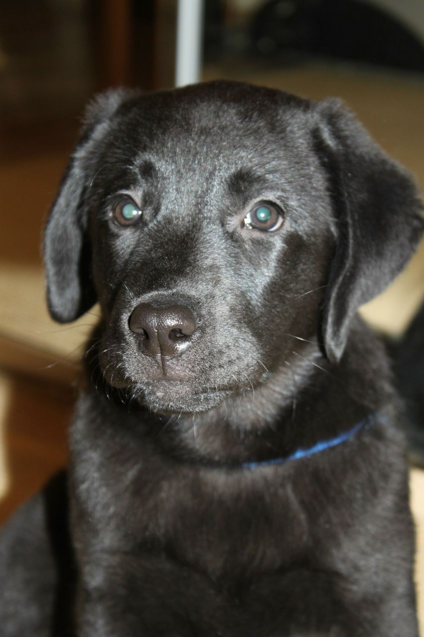 Светлана Мочаловская | Люберцы