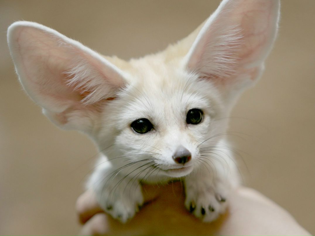 Игорь Васильев | Бердск