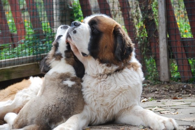 Елена Smailik | Минск