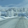 №84, Анжеліка Несен, 27 лет №84, Анжеліка Несен, 27 лет