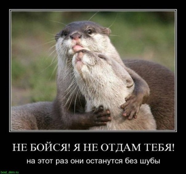 Валерия Фомина | Волжск