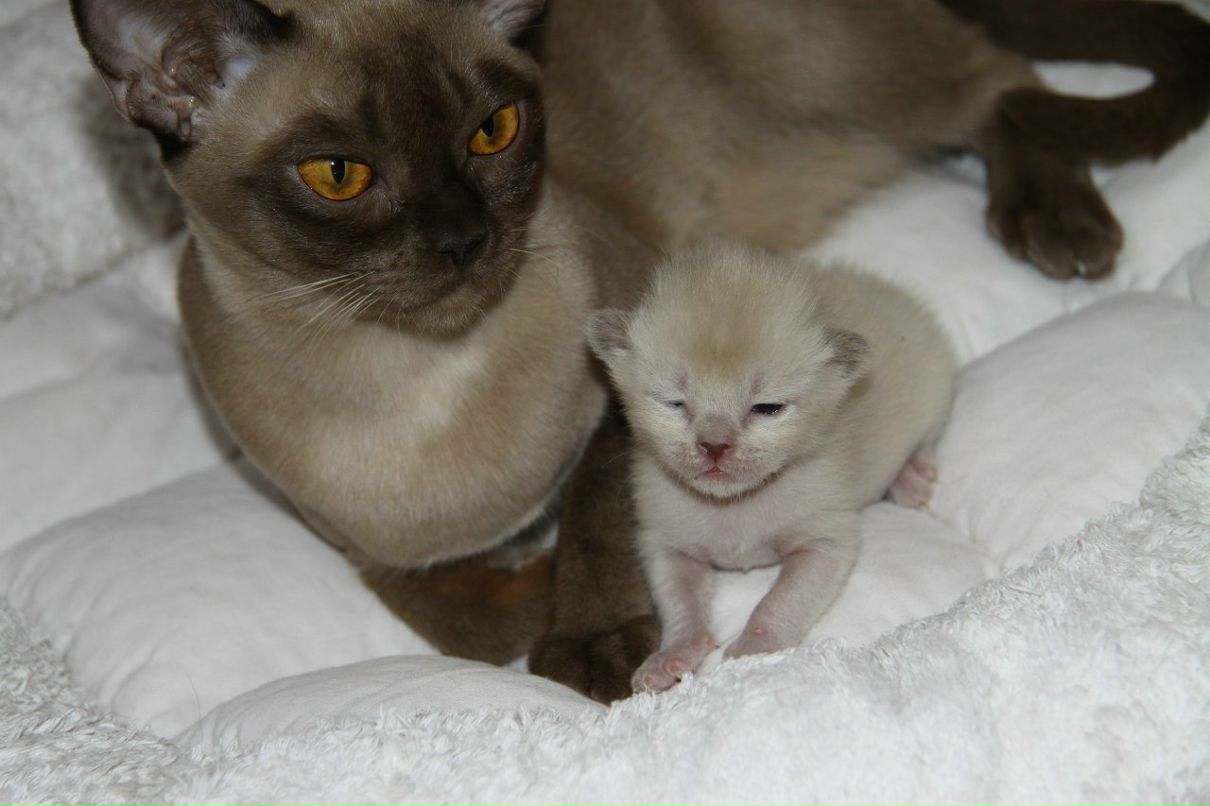 Наталья Лукашова(Алексеева) | Санкт-Петербург