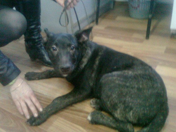 Светлана Черемных | Тула