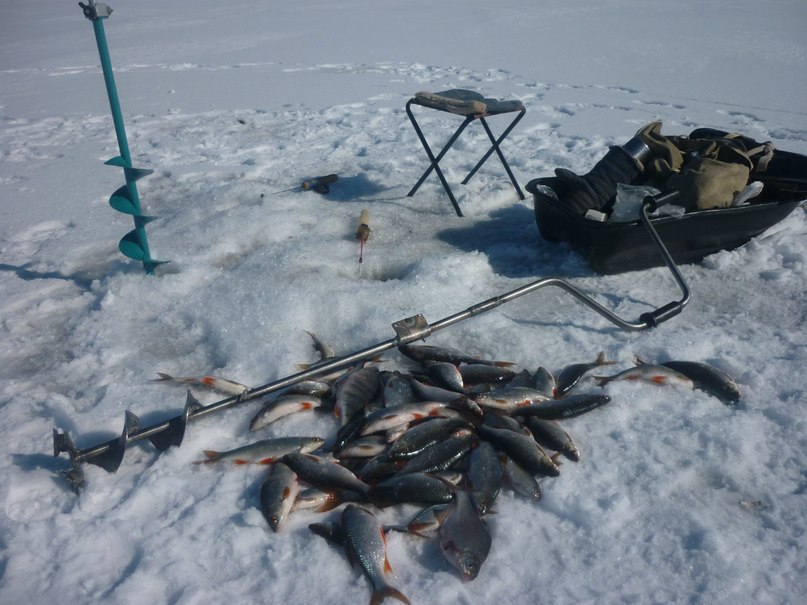 Юрий Пайвин | 