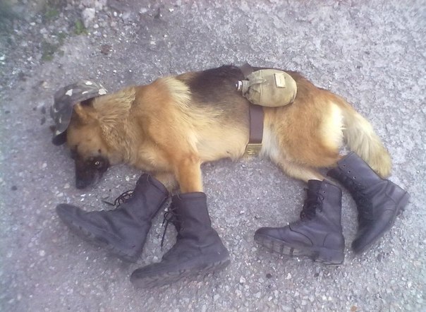 Вася Зайцев | 