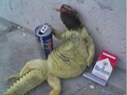 №100, Вассим Шемли, 42 года, Sousse №100, Вассим Шемли, 42 года, Sousse