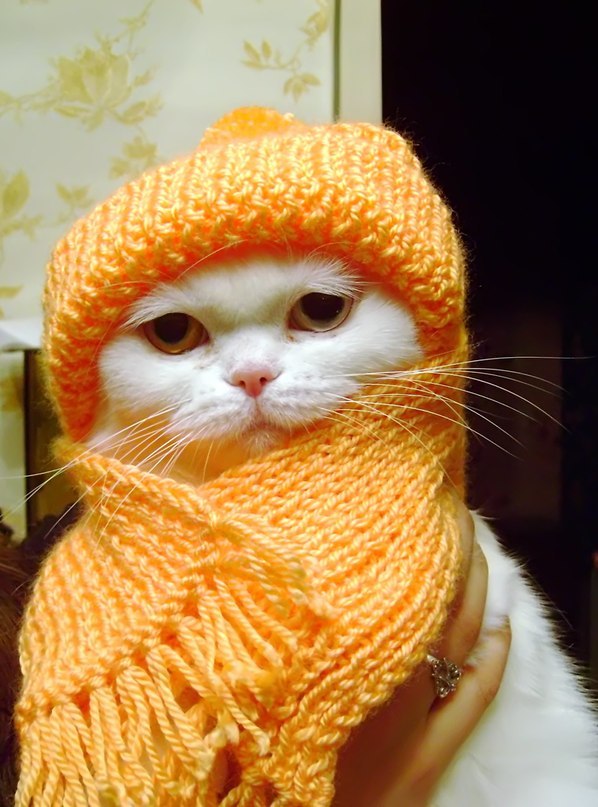 Ниночка Петрова | 