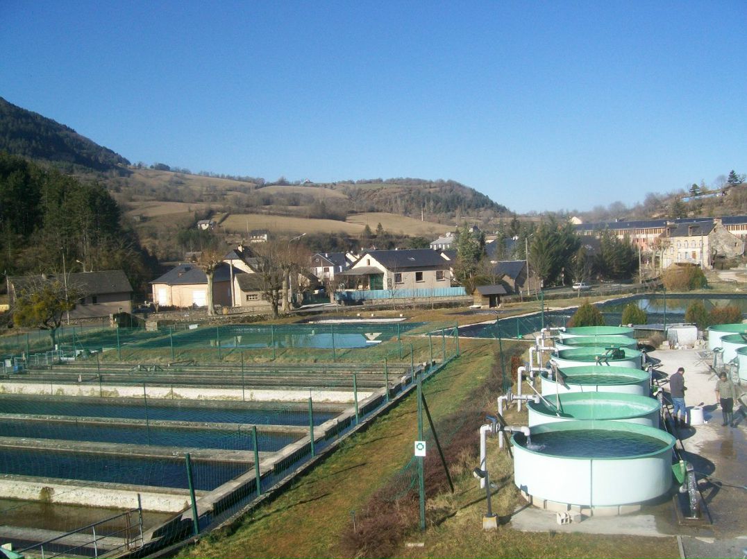 Роман Суховецький | Киев