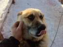 Фотография Щеблова Николая