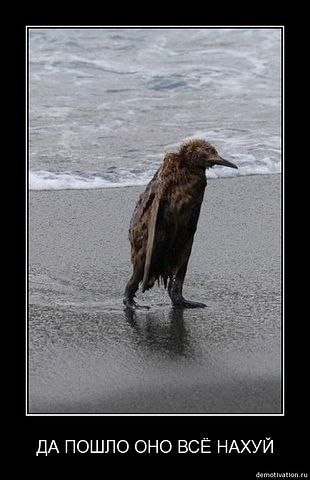 Роман Калинин | Одесса