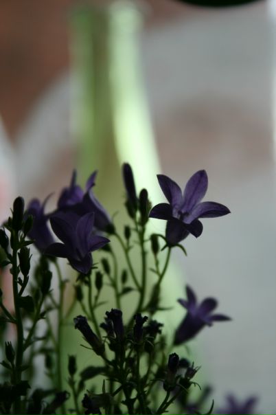 №46, Людмила Шуверова, 35 лет, Москва №46, Людмила Шуверова, 35 лет, Москва