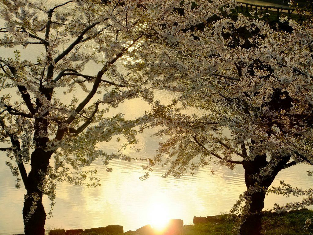 Костя Павлов | Верхняя Пышма