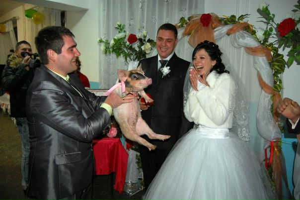 №15, Олег Павлюк, Белгород-Днестровский №15, Олег Павлюк, Белгород-Днестровский