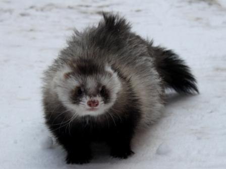 Татьяна Фатеева | Москва