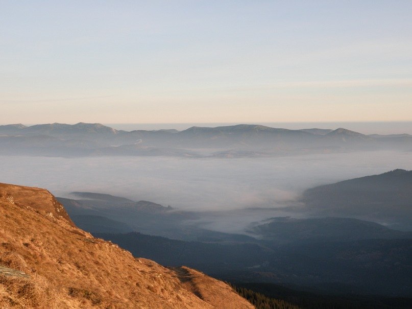 Наталія Тацишин-Войчишин | Ивано-Франковск