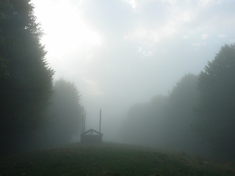 Наталія Тацишин-Войчишин | Ивано-Франковск