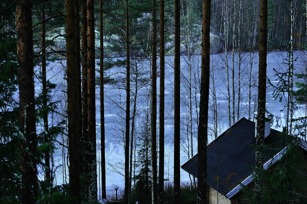 Константин Цивин | Санкт-Петербург