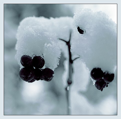 Евгений Денисов | Ангарск