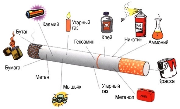 №51, Павел Кустов, Вологда №51, Павел Кустов, Вологда