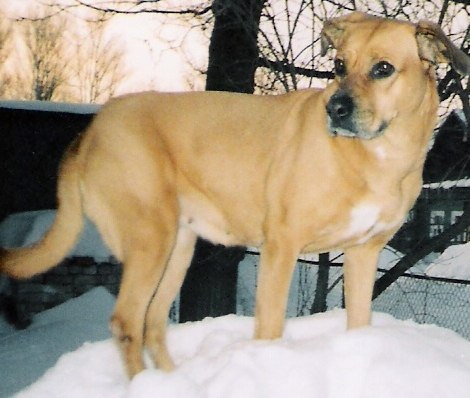 Марина Масленикова | Ярославль