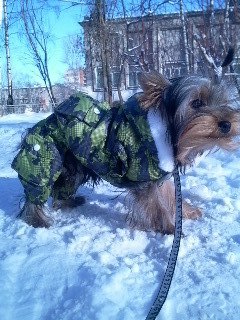 Марина Корепанова | Санкт-Петербург