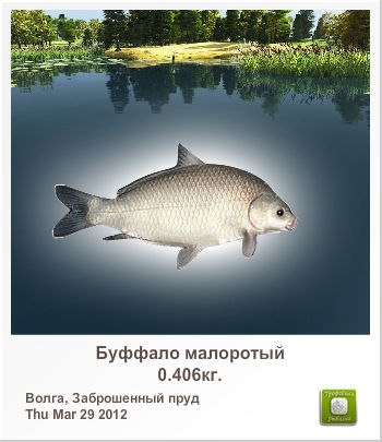 Сергей Лисин | Киев