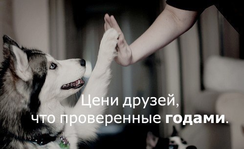 №24, Марина Титова, 25 лет, Калининград №24, Марина Титова, 25 лет, Калининград