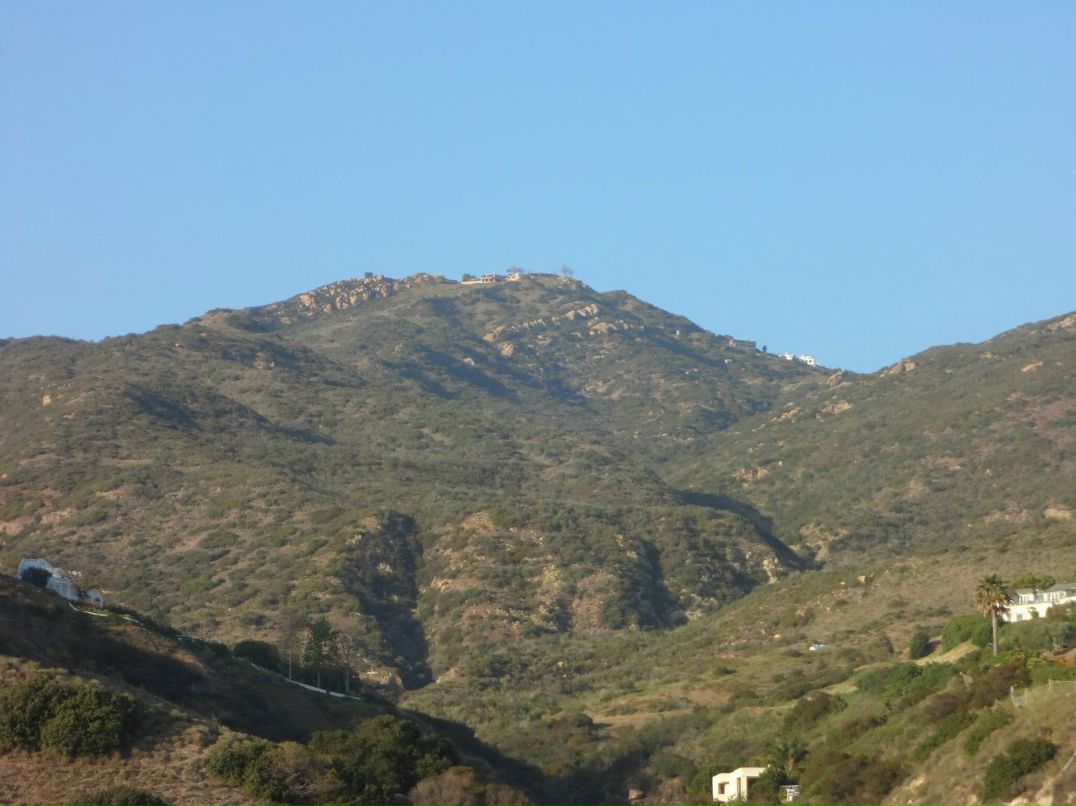 Натан Коваленко (Wolf) | Нетания