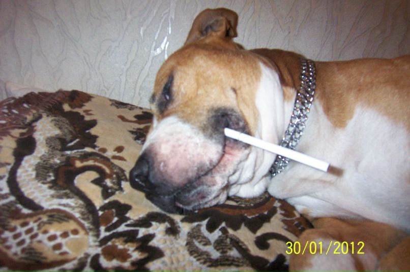 Геннадий Бормотов | Одесса