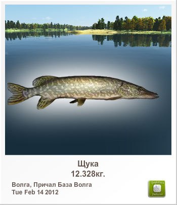 Александр Силин | Великие Луки