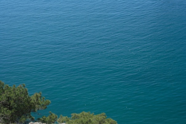 №32, Аля Горчакова, Киев №32, Аля Горчакова, Киев