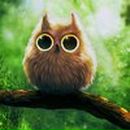 Ирина Соколова | Санкт-Петербург