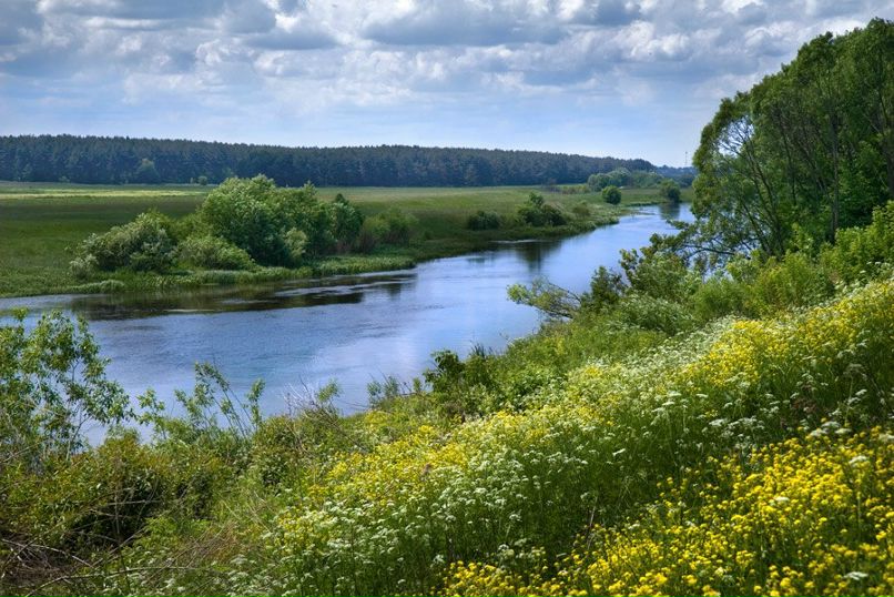 Евгений Боровлев | Курск
