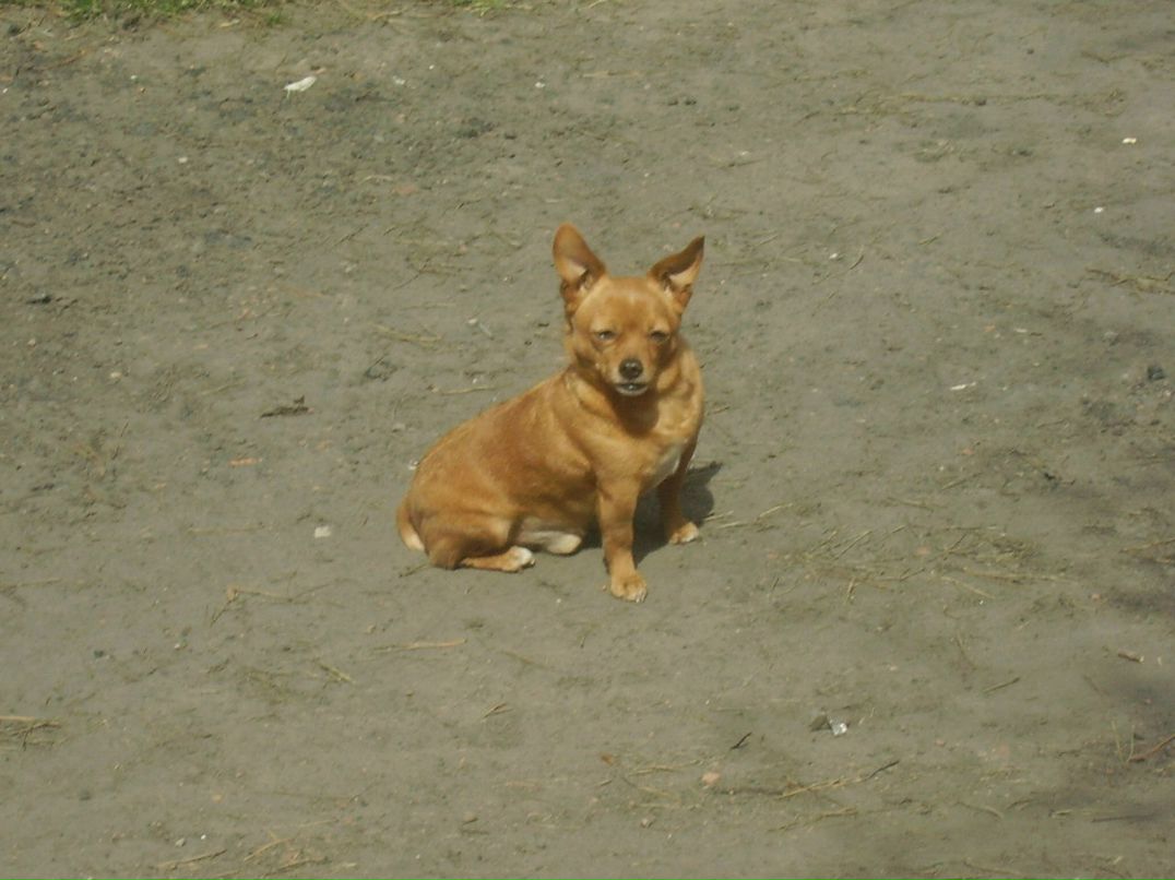Леонид Сапожков Анатольевич | Осинники