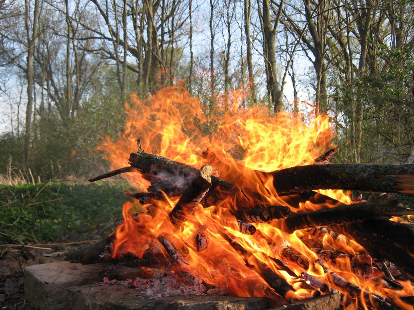 Максим Халиманович | 