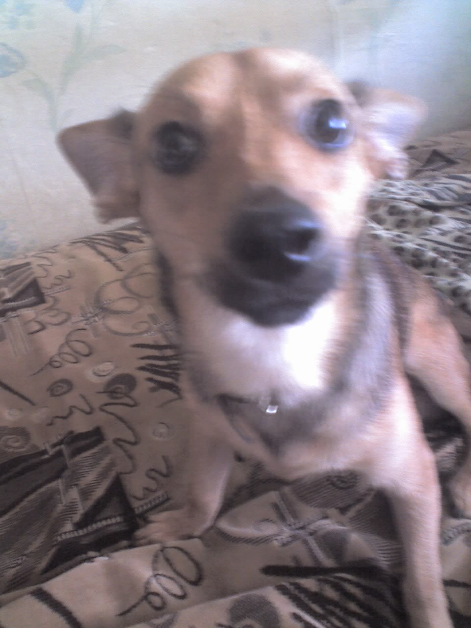 Павлуха Ключко =) | Северодонецк